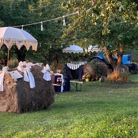 Guest House Zirga Smaids Kusneri Екстер'єр фото